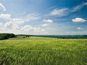 Surroundings Of Landal Hochwald 