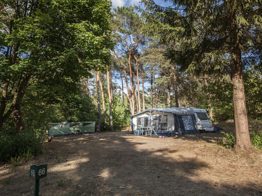 Basis campingplaats