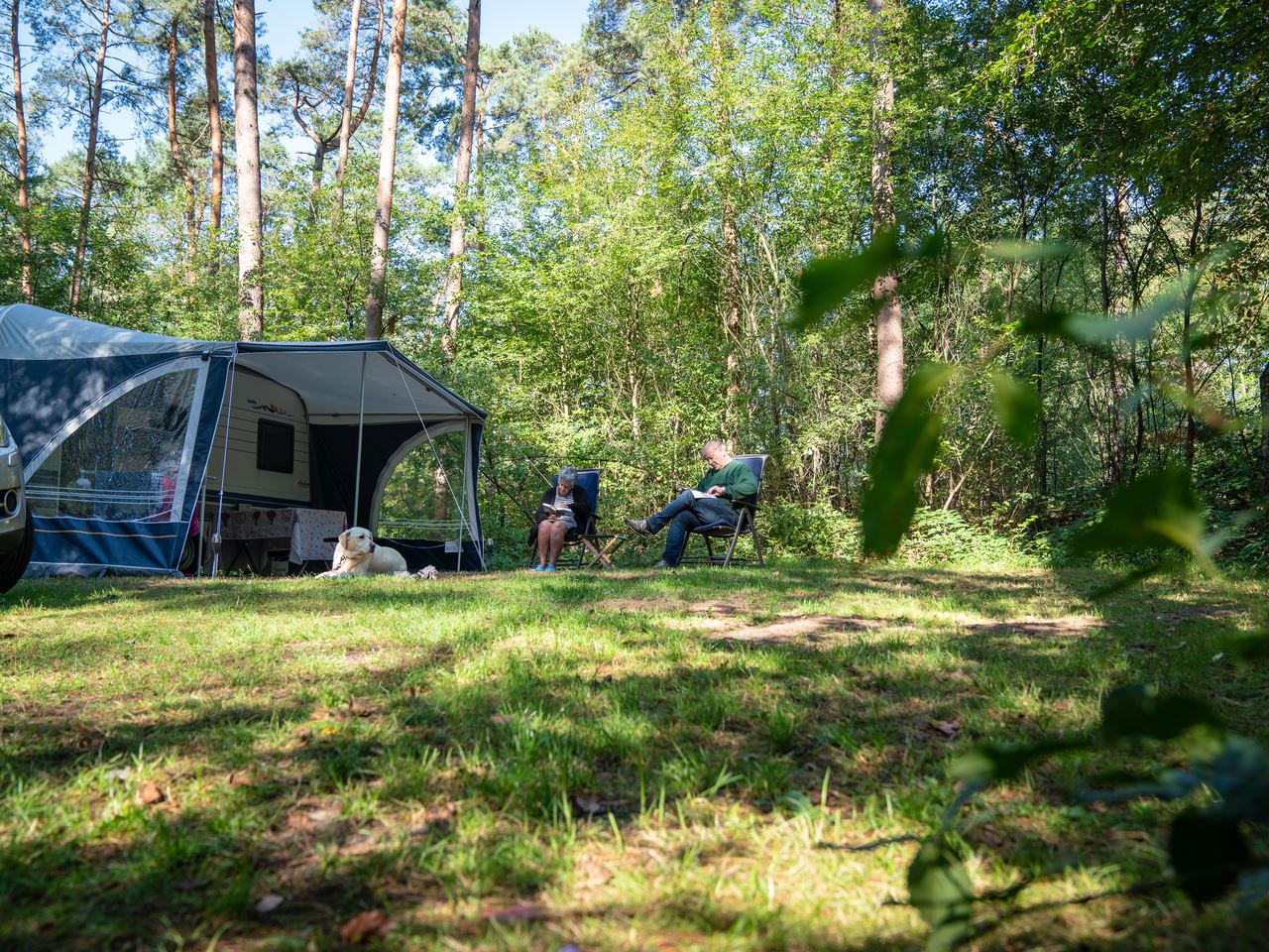Basis campingplaats — foto 6