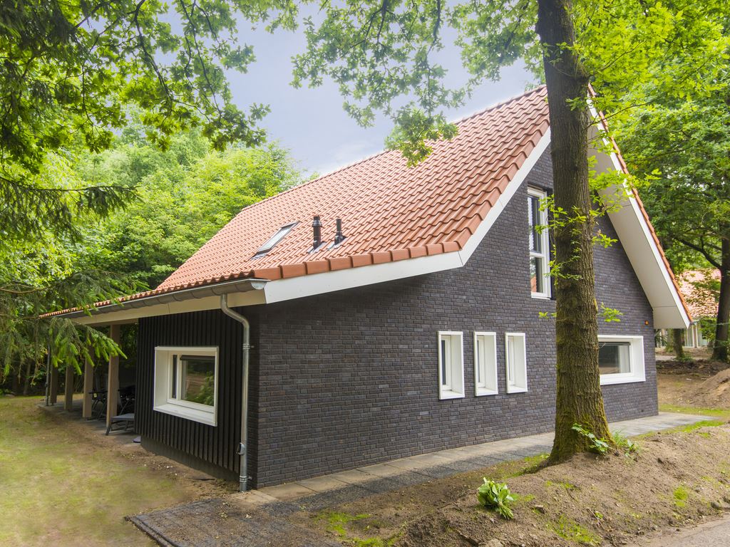 12-persoons bungalow in Hoenderloo - Gelderland, Nederland foto 8271778