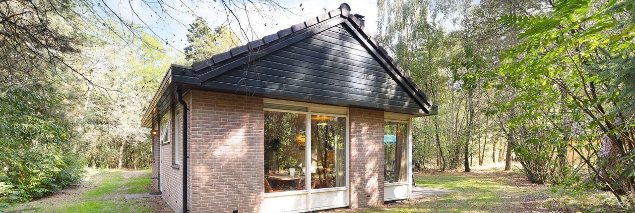 4-persoons bungalow in Nieuw Milligen - Gelderland, Nederland foto 8264932